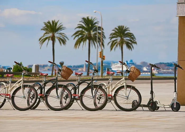 Hôtels de plage à Los Cristianos (Tenerife)
