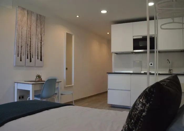 Pet friendly El Palacete Del Puerto Puerto de la Cruz 