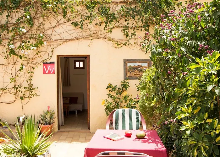 Finca Patio Canario Arona  admite animales